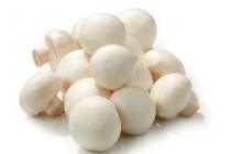 champignons