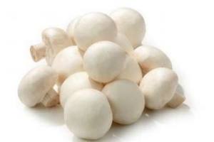 champignons
