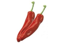 punt paprika