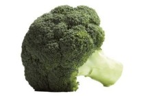 broccoli