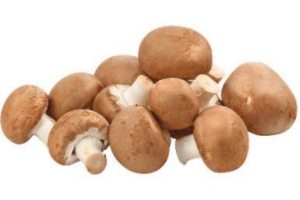 kastanjechampignons