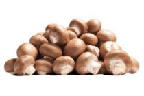 kastanjechampignons