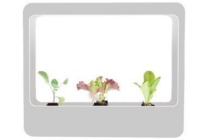 mini kweektuin met led plantenverlichting