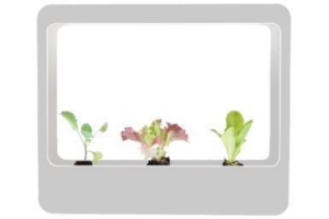 mini kweektuin met led plantenverlichting