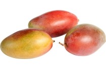 amelie mango