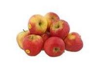 plus handappels evelina los