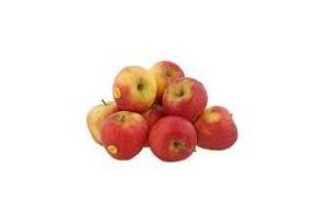 plus handappels evelina los