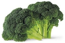 broccoli