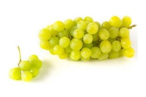 witte druiven