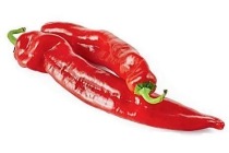 rode puntpaprika s