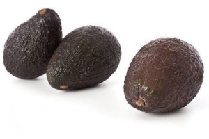 avocado 3 pack