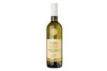 ah excellent selectie pinot grigio magnum