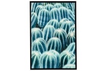 canvas cactus glossy