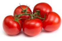 hollandse tomaten