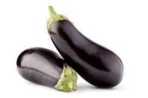 aubergine