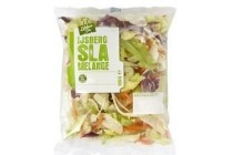 ijsberg slamelange