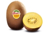 zespri sungold kiwi s