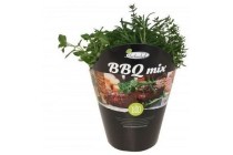 kruiden mix bbq d 14 cm bio