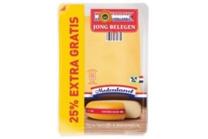 gouda holland jong belegen