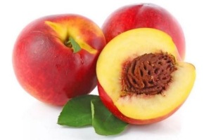 nectarines