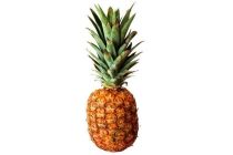 ananas