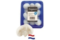 champignons