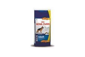 royal canin adult