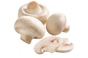 witte champignons