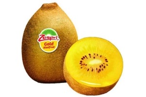 zepri kiwi gold