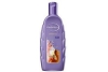 andrelon shampoo oil en care