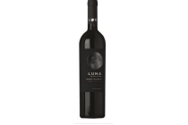 luna cabernet sauvignon agrelo mendoza 2016