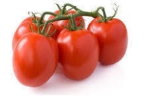 roma tomaten