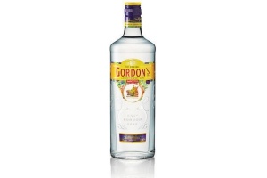 gordon s gin