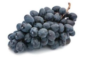 blauwe druiven