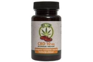 cbd capsules 10mg