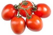 roma tomaten