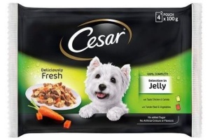 cesar pouch