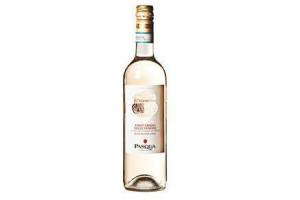 pasqua pinot grigio rose veneto