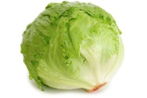 ijsbergsla