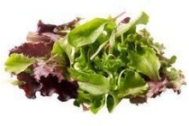 gewassen mesclun