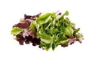 gewassen mesclun