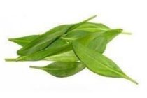 lamsoren