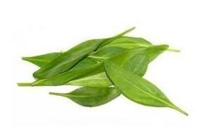lamsoren