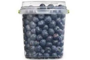 blauwe bessen