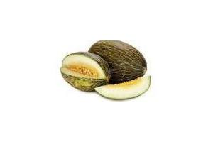 piel de sapo