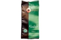 koffie rainforest