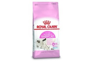 royal canin fhn mother en babycat