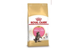 royal canin fbn kitten maine coon