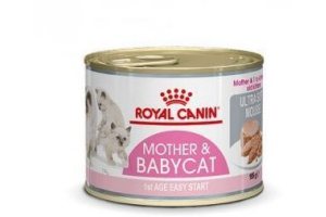 royal canin fhn babycat instinctive