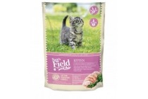 sam s field cat kitten